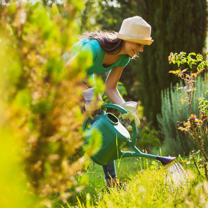 Pregătește-ți grădina pentru o vară plină de culoare! Sfaturi și idei de amenajare pentru fiecare tip de grădină.