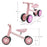 Bicicletă Echilibru Cutie Flash, Pink