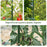 Suport/arac pentru plante, rosii, metal + PVC, verde, 1.1x210 cm, Artool