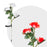 Lampă solară -model trandafir - roșu - alb, LED RGB - 70 cm - 2 buc, /pachet - aicuce.ro